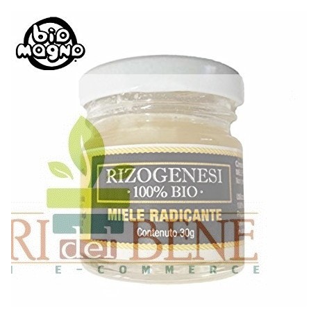 Rizogenesi 100% BIO - Miele radicante per talee Bio Magno 30 g